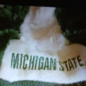 Michigan State Green and White Hat
